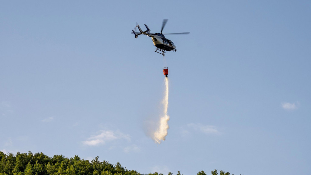Weinberg in Brand