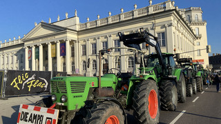 Bauern-Sternfahrt nach Kassel: Steinweg wird zum Treckerparkplatz