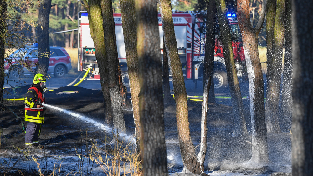 Einsatz am späten Abend für die Feuerwehr Hanau: Im Wald bei Klein-Auheim hat es einen Waldbrand gegeben