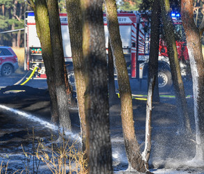 Waldbrand in Seligenstadt-Froschhausen: Rauch über der A3
