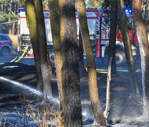 Waldbrandgefahr in Darmstadt: Was Ihr jetzt beachten müsst