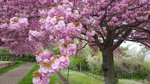 Kreuz & Quer am 29. März - Karfreitag - Von Schatten und Licht