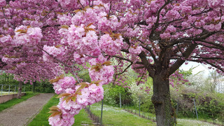 Kreuz & Quer am 29. März - Karfreitag - Von Schatten und Licht