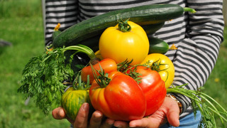 Saisonkalender Obst & Gemüse: Zur richtigen Zeit pflanzen