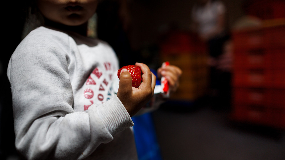 Ein kleines Kind hält eine Erdbeere und Schokolade in den Händen in einer der bundesweiten Ausgabestellen der Tafel. Ende August sollen Einzelheiten der geplanten Kindergrundsicherung vorliegen. Doch jetzt hat Bundesfinanzminister Linder weiteren Gesprächsbedarf angemeldet.