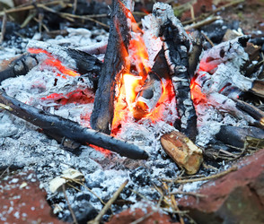 Trockenheit in Marburg: Grillverbot in Parks und Stadtwald