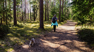 Wandern in Hessen: Traumhafte Routen, die du garantiert nicht kennst