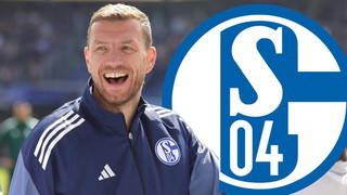 Offiziell: Dzeko verlängert auf Schalke