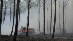 Feuer-Hölle in Südfrankreich: Erste Bewohner dürfen zurück