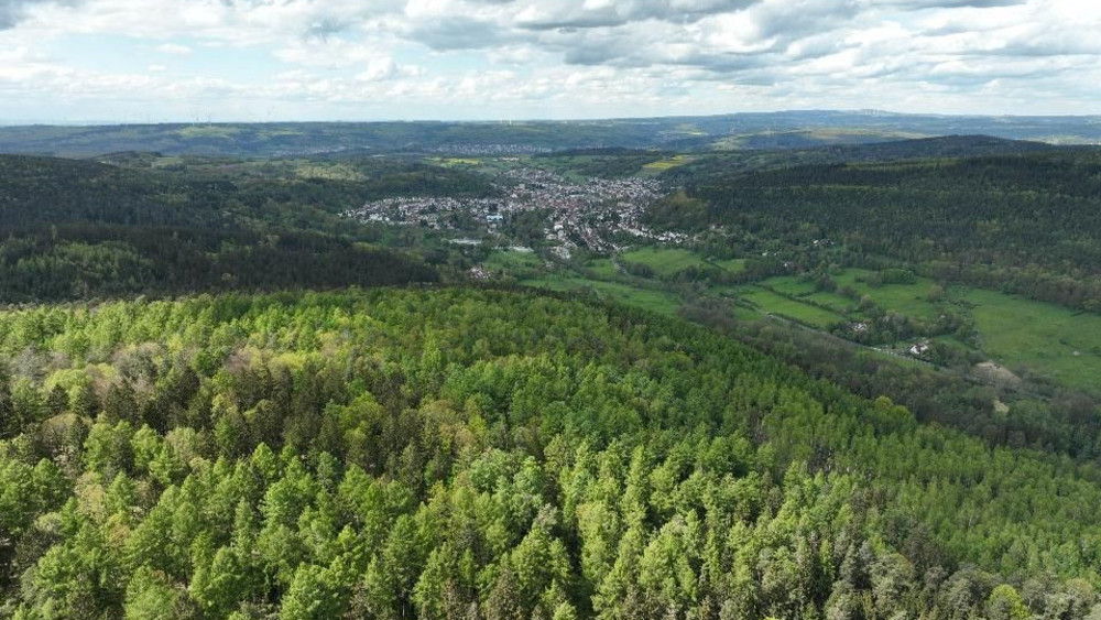 Der ehemalige Wildpark und der angrenzende Stadtwald in Bad Orb sollen eine Naturerlebniswelt werden. 