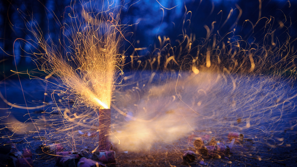 Das Feuerwerk könnte infizierte Wildschweine aufschrecken und so zur Ausbreitung der Seuche beitragen.