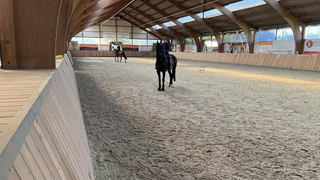 Turnier in Fuldabrück-Dörnhagen: Olympia-Reiter gehen an den Start