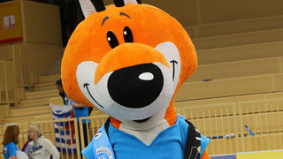 VCW Wiesbaden - Vorläufige Lizenz vor Match beim Meister