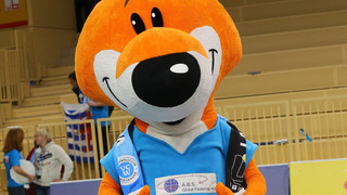 VC Wiesbaden unterliegt SC Potsdam in der Volleyball Bundesliga