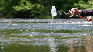 Wasserqualität in Badeseen: Hessens Gewässer schneiden sehr gut ab