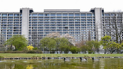 Pläne fix: Das passiert mit Frankfurter Bundesbank-Gelände