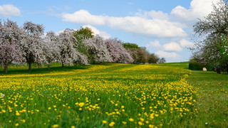 Zu kühl oder genau richtig: Wie war dein Mai?