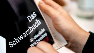 Hessens größte Steuer-Verschwendungen 2021