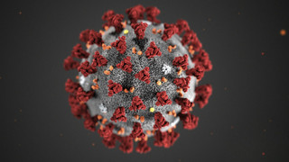 Ende der Corona-Regeln in Sicht: Ausstieg in zwei Stufen