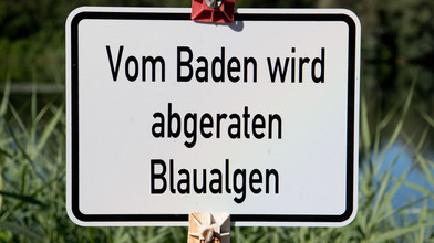 Blaualgen in zwei Seen: Behörden warnen vor dem Baden