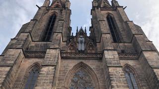 Uhu Lisbeth legt nach Küken Rettung wieder Ei