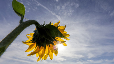Wetter: Wann es nochmal richtig warm wird in Hessen