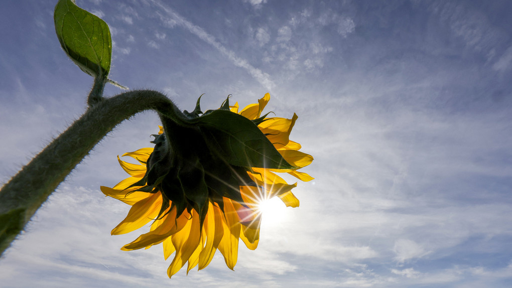 T-Shirt-Wetter im Herbst: Wieder bis 29 Grad in Hessen