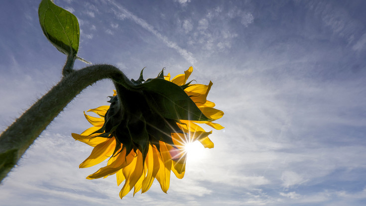 Wetter: Wann es nochmal richtig warm wird in Hessen