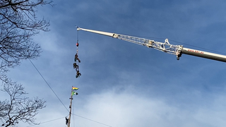 Fechenheimer Wald geräumt: Keine Aktivisten mehr in den Bäumen