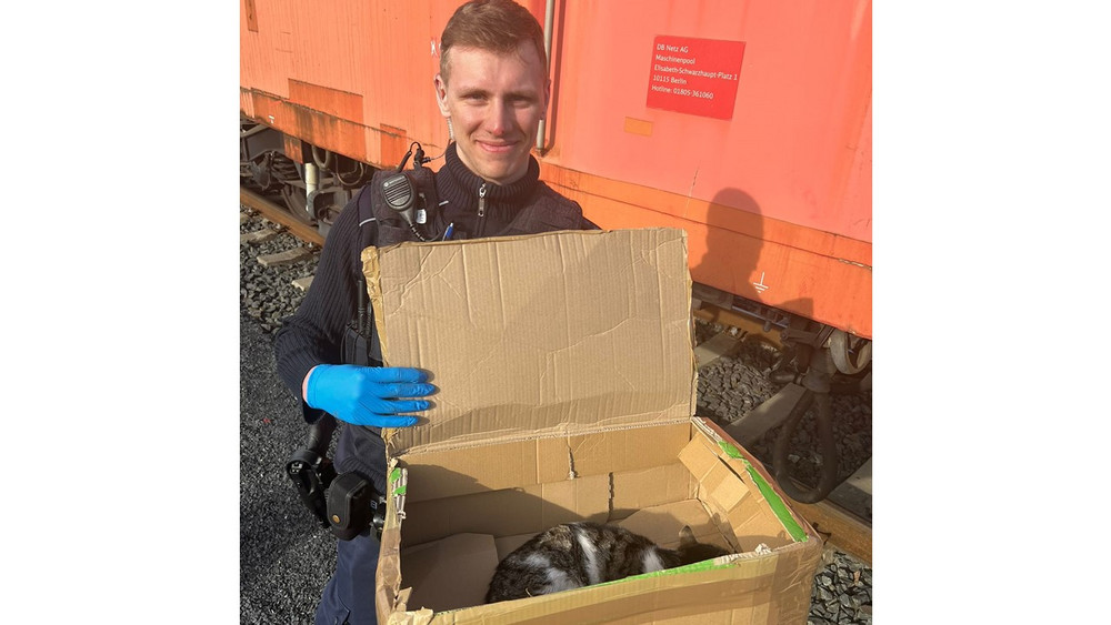 Polizeimeister Max Grom vom Bundespolizeirevier Fulda mit der geretteten Katze in einem Karton.