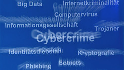 Cyber-Kriminelle erpressen hunderte Millionen
