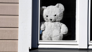 Teddybär hilft bei Aufklärung von Diebstahl von Post in Mainz