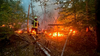 Waldbrandgefahr in Hessen steigt deutlich