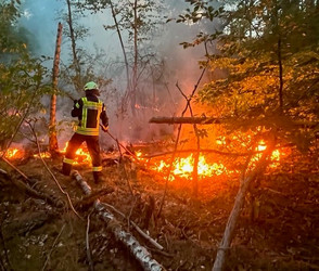 Waldbrandgefahr in Hessen steigt deutlich