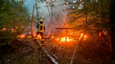 Waldbrandgefahr in Hessen steigt deutlich