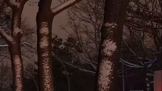 Vierter Tag: Zehntausende Haushalte in Berlin noch immer ohne Strom