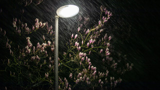 Zuschuss vom Land: Neuhof, Flieden und Kalbach werden smarter