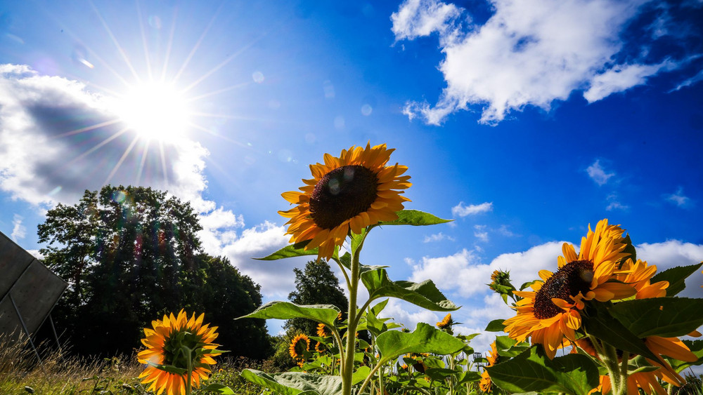Wetter in NRW