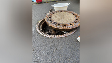 Wetter: süßes Iltisweibchen aus Gullydeckel gerettet