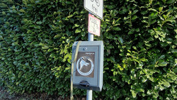 Stadt Limburg appelliert an Hundehalter: Sammelt´s ein!