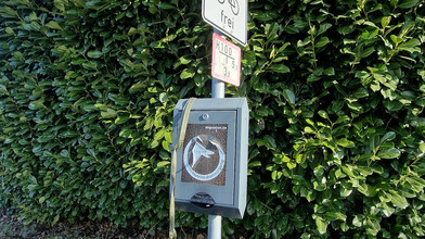 Stadt Limburg appelliert an Hundehalter: Sammelt´s ein!