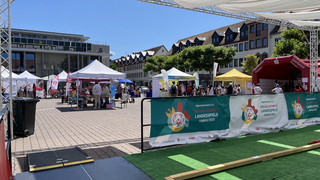 Gelebte Inklusion bei Special Olympics Landesspielen in Hanau