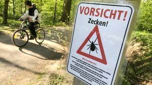 Kreis Bergstraße: Zecken schon jetzt im FSME-Risikogebiet Südhessen