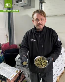 Erste legale Cannabisabgabe in Südhessen (auto. import)