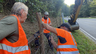 Schutz gegen Schweinepest: Land plant neue Zäune östlich der A5