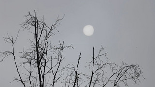 Meteorologischer Winteranfang: Wetter bleibt vorerst grau und mild