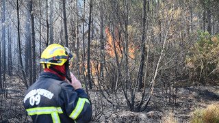 Feuer flammen immer wieder auf – «Wir kämpfen Baum um Baum»