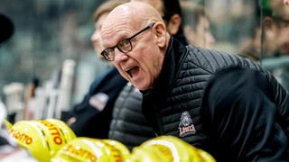 Löwen Frankfurt vor entscheidenden Wochen