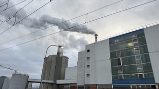 Zuckerfabrik in Wabern: Ernte liefert überdurchschnittlichen Ertrag