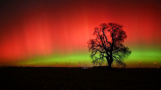 Seltenes Farbenspektakel am Himmel: Polarlichter leuchten über Deutschland
